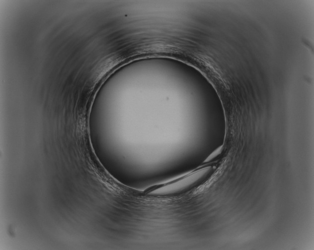X0000097871073200803281156