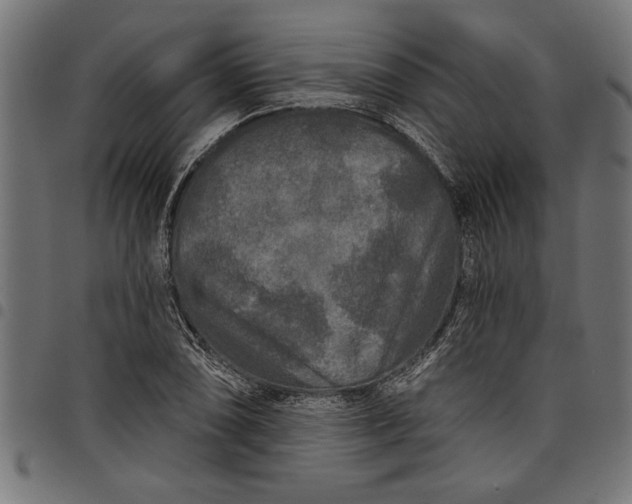 X0000097871074200803281156