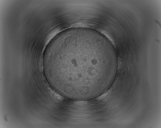 X0000097871075200803281156