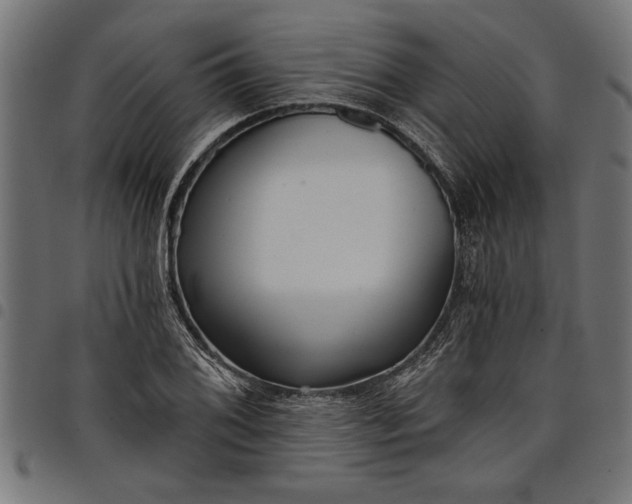X0000097871076200803281156