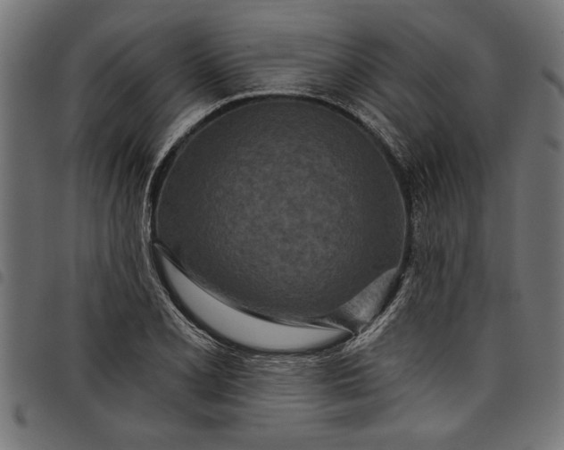 X0000097871077200803281156