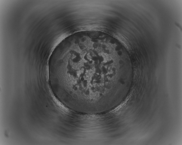 X0000097871079200803281156