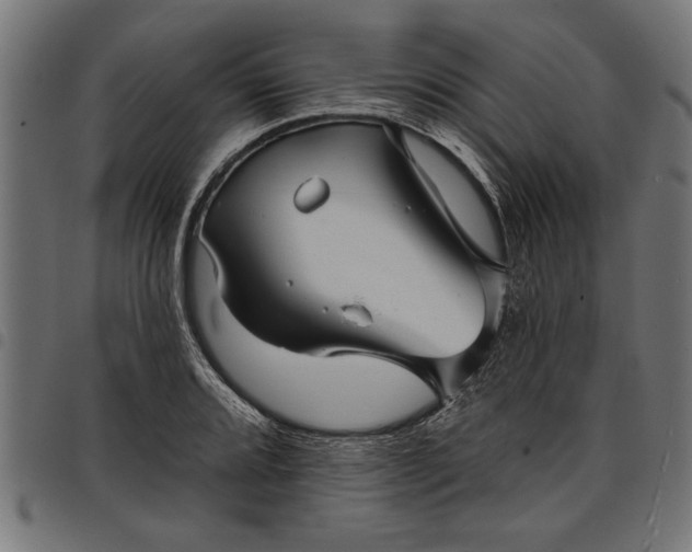 X0000097871080200803281156