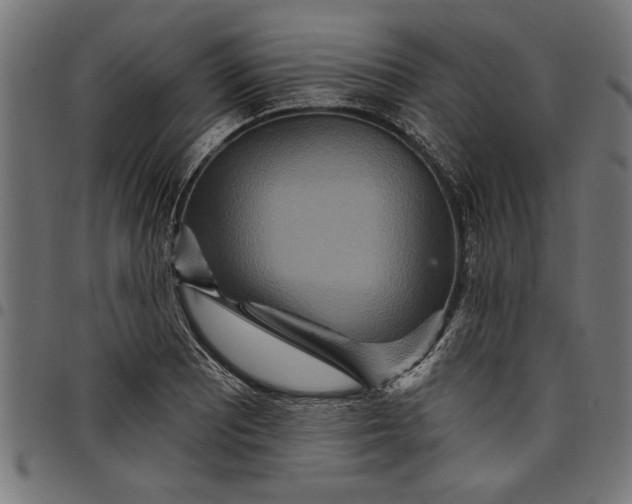 X0000097871081200803281156