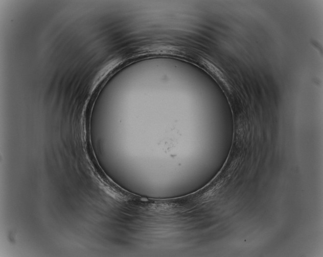 X0000097871082200803281156