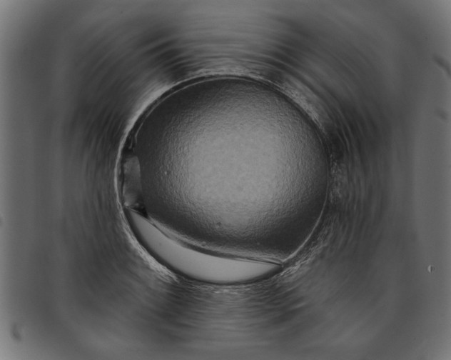 X0000097871084200803281156