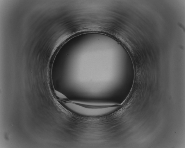 X0000097871085200803281156