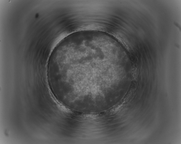 X0000097871086200803281156