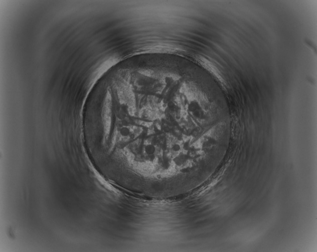 X0000097871087200803281156