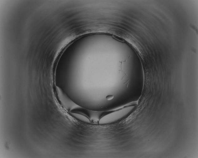 X0000097871088200803281156