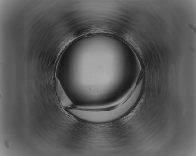 X0000097871089200803281156