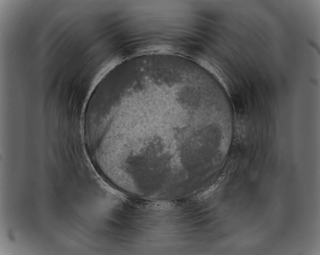 X0000097871090200803281156