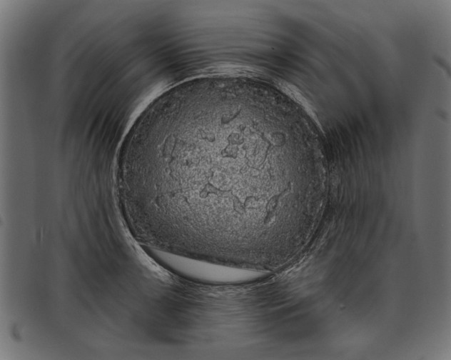 X0000097871091200803281156