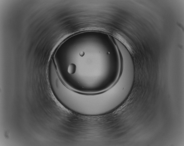 X0000097871092200803281156