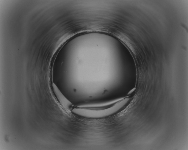 X0000097871093200803281156