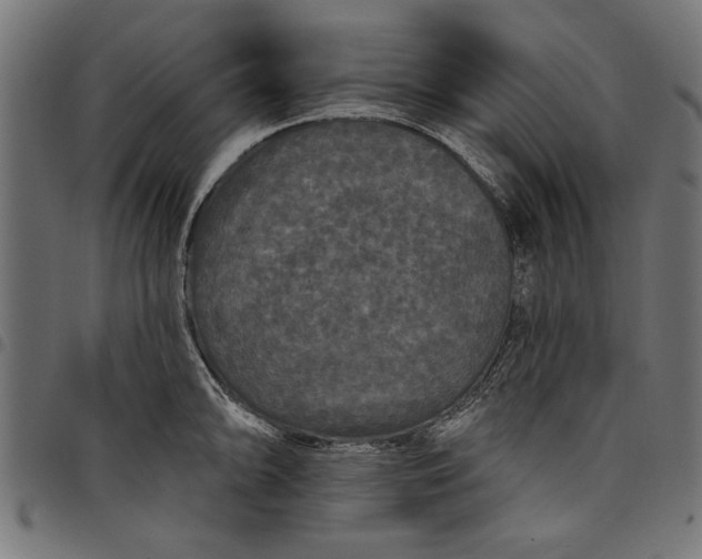 X0000097871094200803281156