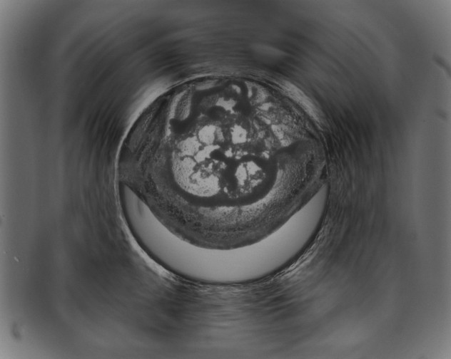 X0000097871095200803281155