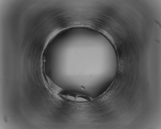 X0000097871096200803281155