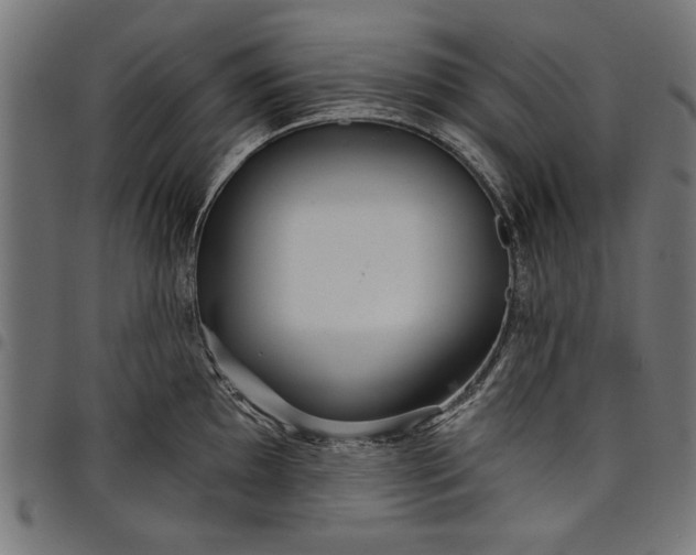 X0000097871097200803281155
