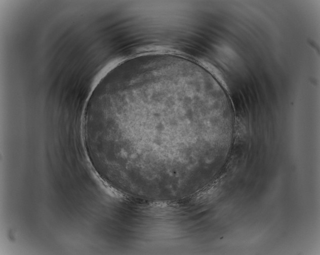 X0000097871098200803281155