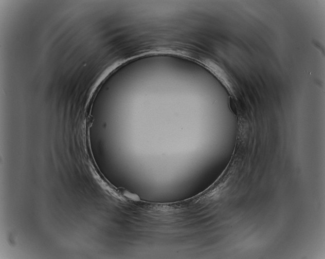 X0000097871100200803281155