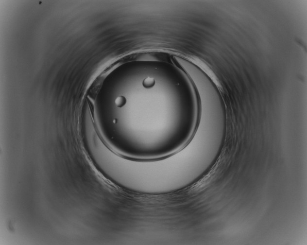 X0000097871101200803281155