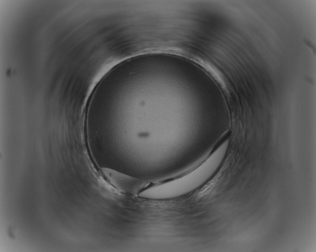 X0000097871102200803281155