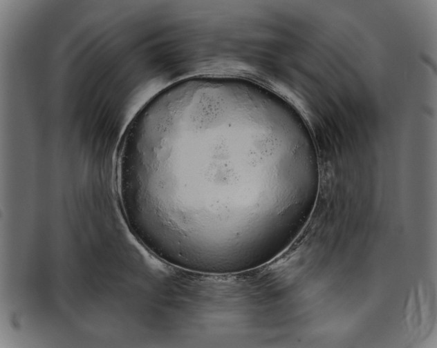 X0000097871103200803281155
