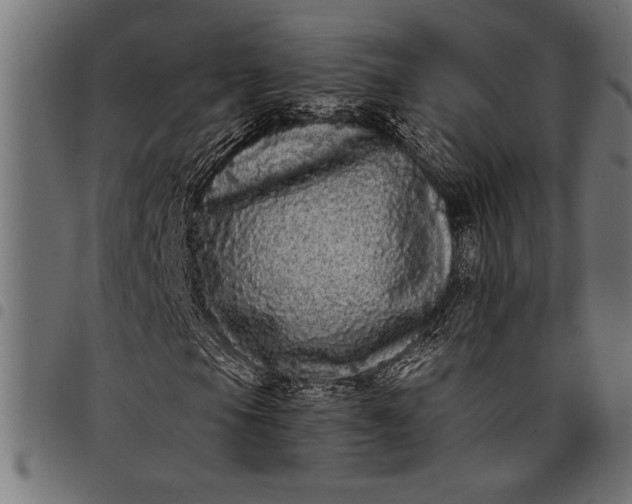 X0000097871105200803281155
