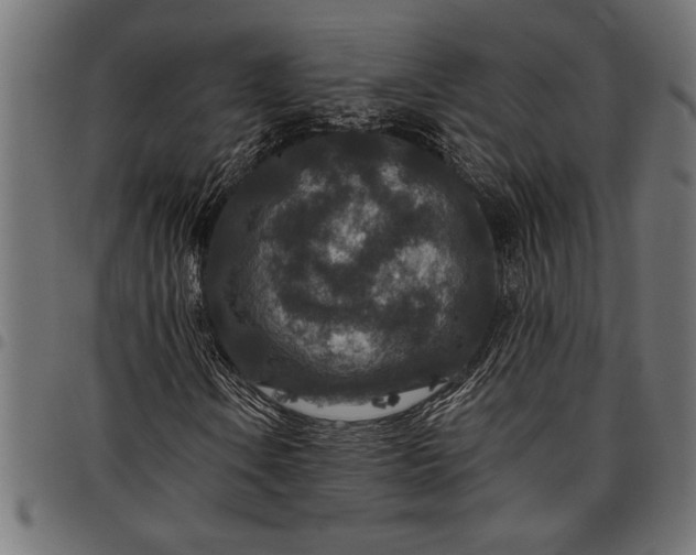 X0000097871106200803281155