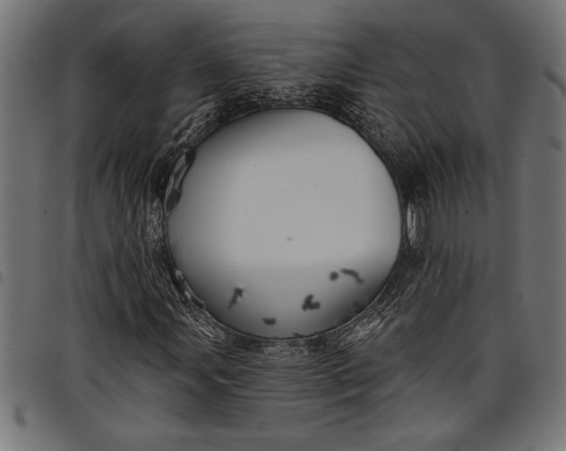 X0000097871107200803281155