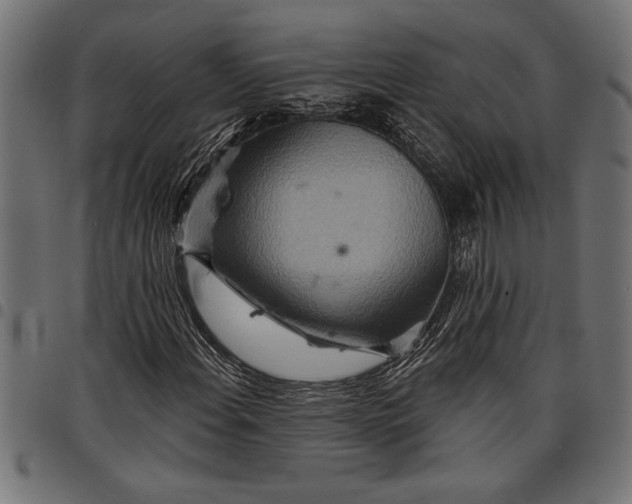 X0000097871108200803281155