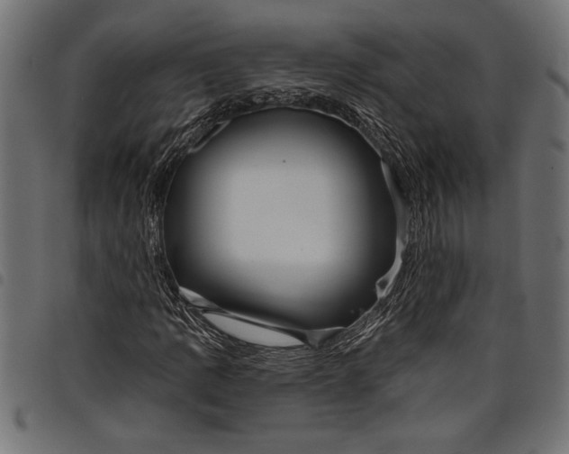 X0000097871109200803281155