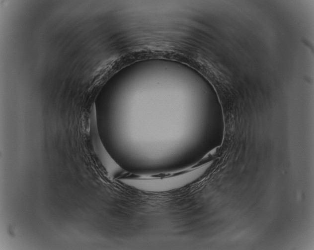 X0000097871110200803281155