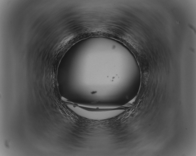 X0000097871111200803281155