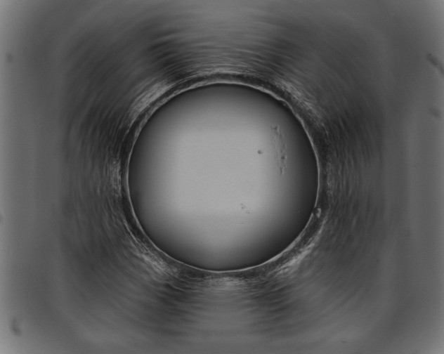 X0000097871113200803281155
