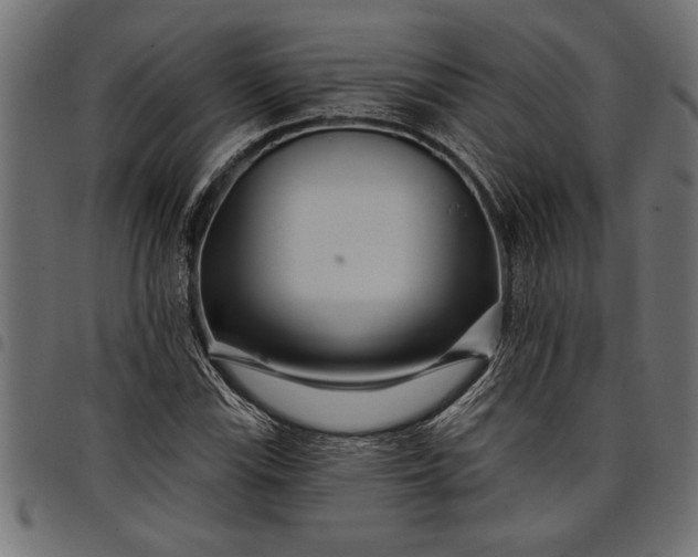 X0000097871115200803281155