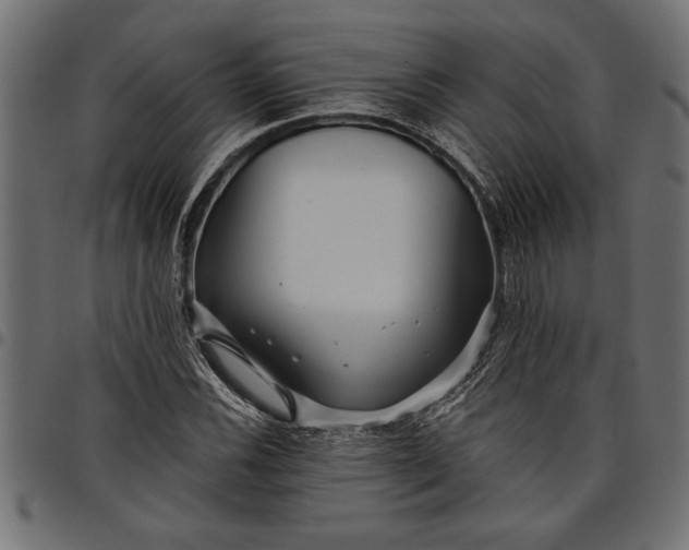 X0000097871116200803281155