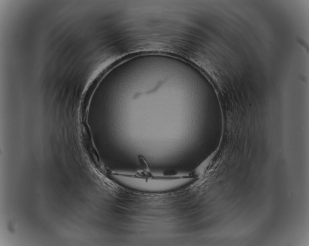X0000097871120200803281155