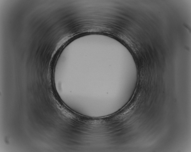 X0000097871122200803281155