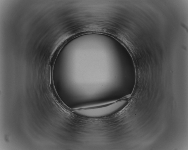 X0000097871123200803281155