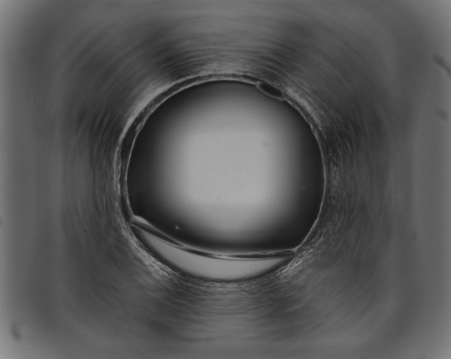 X0000097871124200803281155