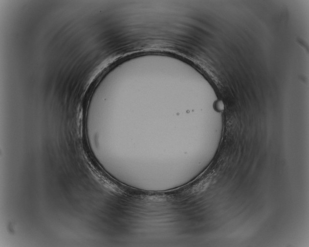 X0000097871126200803281155