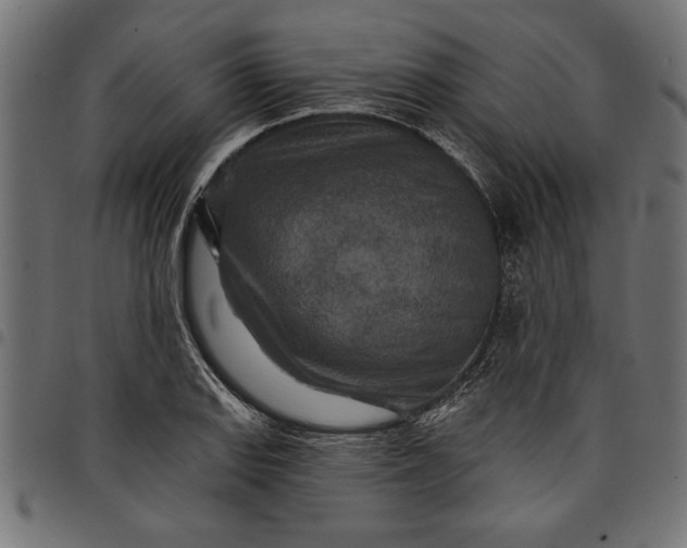 X0000097871127200803281155