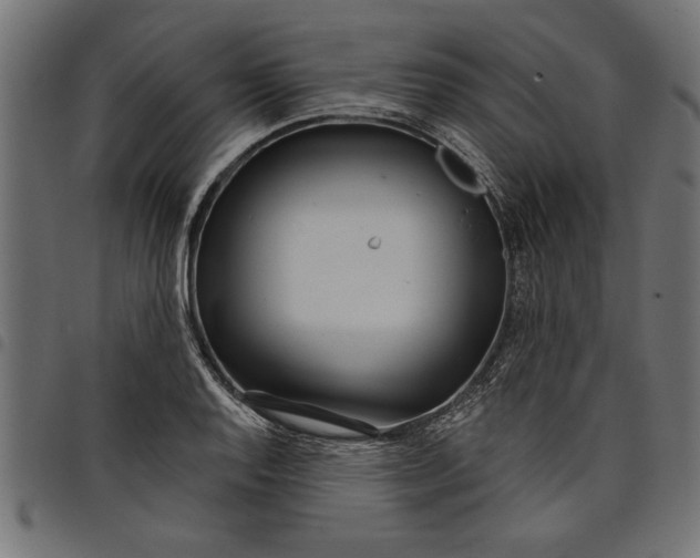 X0000097871128200803281155