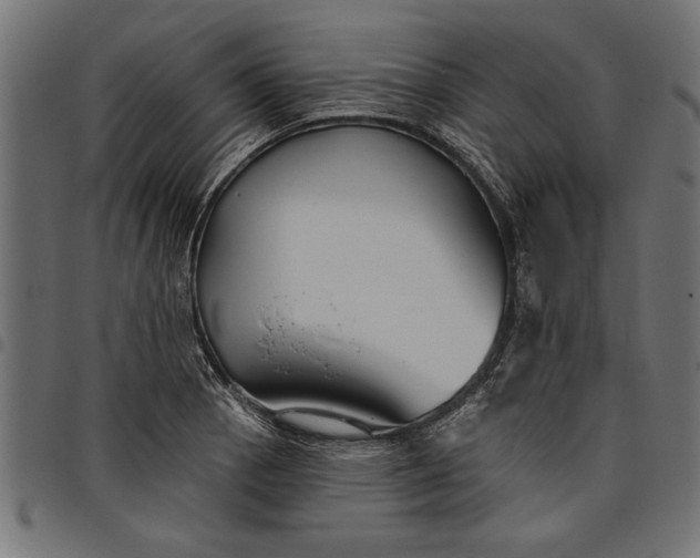 X0000097871129200803281155