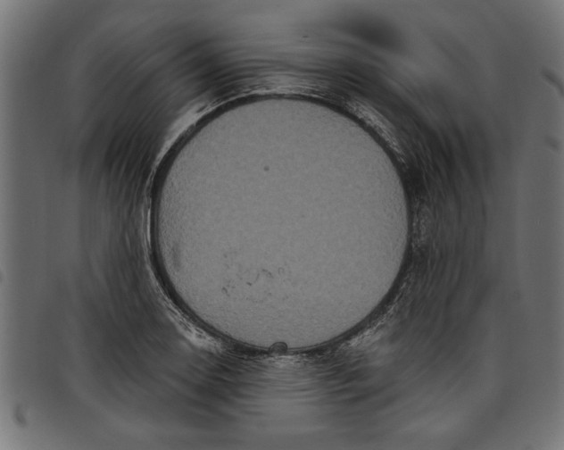 X0000097871130200803281155