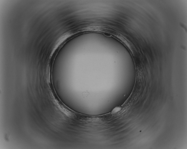 X0000097871131200803281155