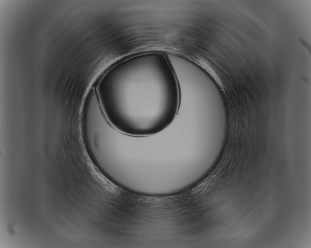X0000097871132200803281155