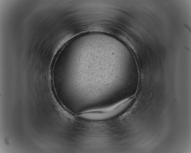 X0000097871133200803281155